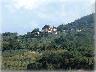 Cupoli da Malmantile estate 2005 | Lastra a Signa (imm. 1 di 5)