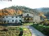 Antica pieve di Santa Maria a Lamole (XI sec). 2004, Brucianesi di Lastra a Signa (imm. 1 di 5)