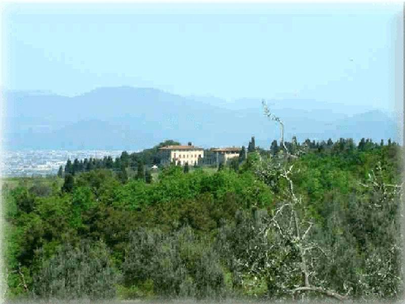 Selve, Bellosguardo da Malmantile (2005) | Lastra a Signa