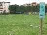 Castagnolo i giardini  (2007) | Lastra a Signa (imm. 23 di 23)