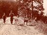Santa Maria a castagnolo 1900 | Lastra a Signa (imm. 1 di 23)