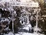 Castagnolo di Lastra a Signa - Colonie Cerreti 1954 (imm. 2 di 23)