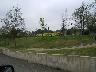 Castagnolo Giardini presso Ipercoop | Lastra a Signa (imm. 11 di 23)