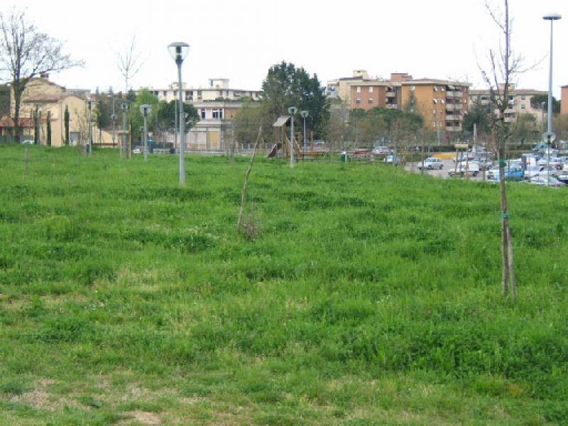 Castagnolo, giardino prospicente Coop 2007 | Lastra a Signa