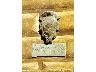 Palazzo Pretorio, XVI sec. Part. 2011 | Lastra a Signa (imm. 11 di 17)