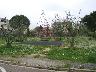 Giardini di piazza Bardini  (2007) | Lastra a Signa (imm. 23 di 28)