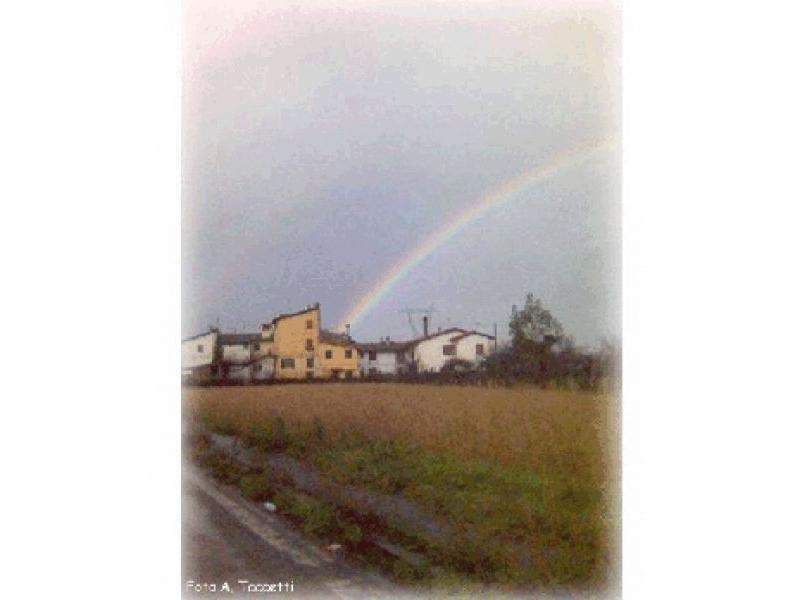 Lastra a Signa, Stagno estate 2006
