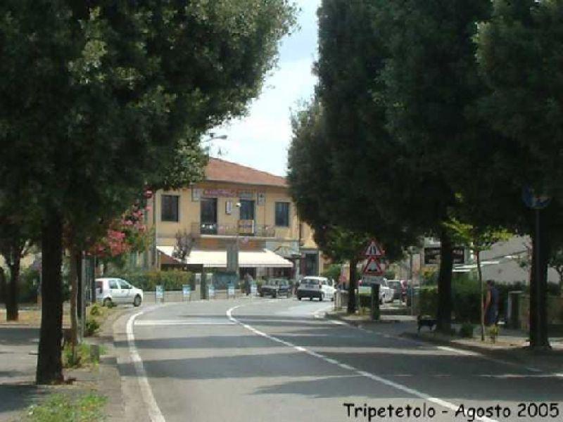 Tripetetolo Agosto 2005 2005 | Lastra a Signa