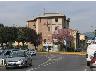 Tripetetolo 2005 | Lastra a Signa (imm. 7 di 8)