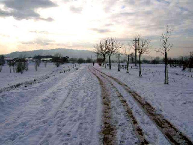 Parco fluviale 29 dic 2005 | Lastra a Signa