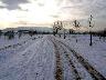 Parco fluviale 29 dic 2005 | Lastra a Signa (imm. 16 di 29)