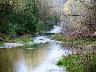 Torrente Pesa a le Topole<br>foto 2006 (imm. 3 di 3)