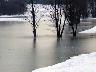 Parco fluviale 29 dic 2005 | Lastra a Signa (imm. 11 di 29)
