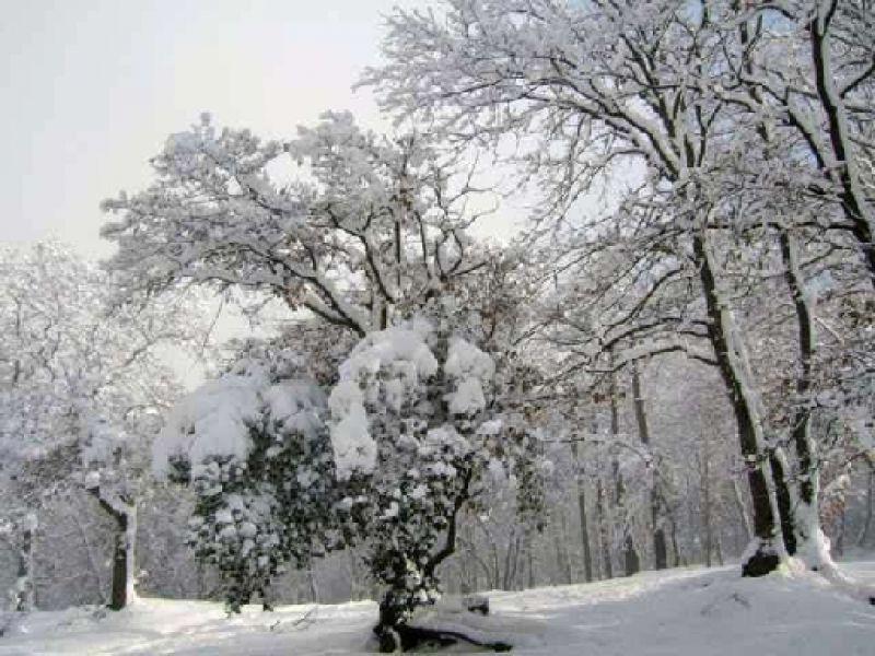 Lastra a Signa, Parco fluviale 29 dic 2005