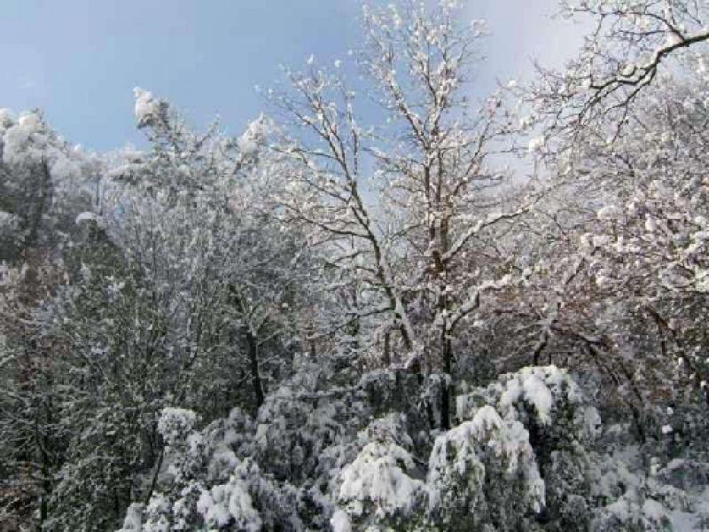 Lastra aSigna, Parco fluviale 29 dic 2005