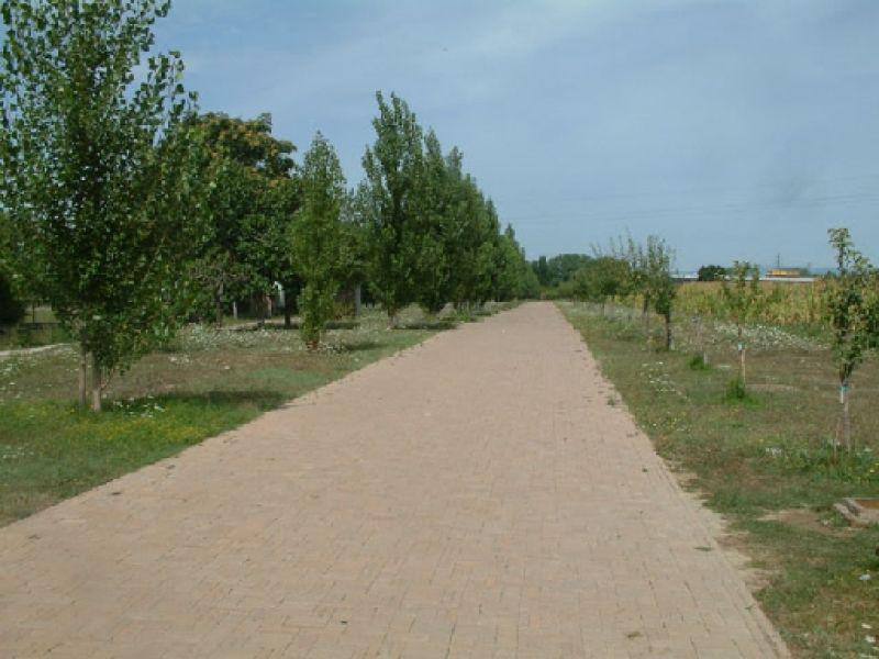 Parco  fluviale in  primavera 2005 | Lastra a Signa