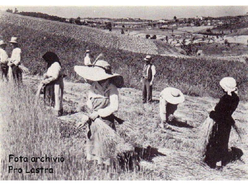 Raccolta della paglia 1900