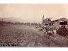 Industria della paglia, la semina 1900 (imm. 5 di 22)