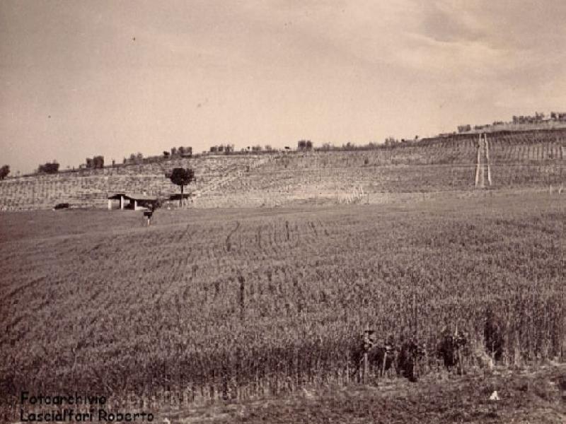 Paeseggio toscano, Industria della paglia, campi con spighe pronte per la raccolta 1900