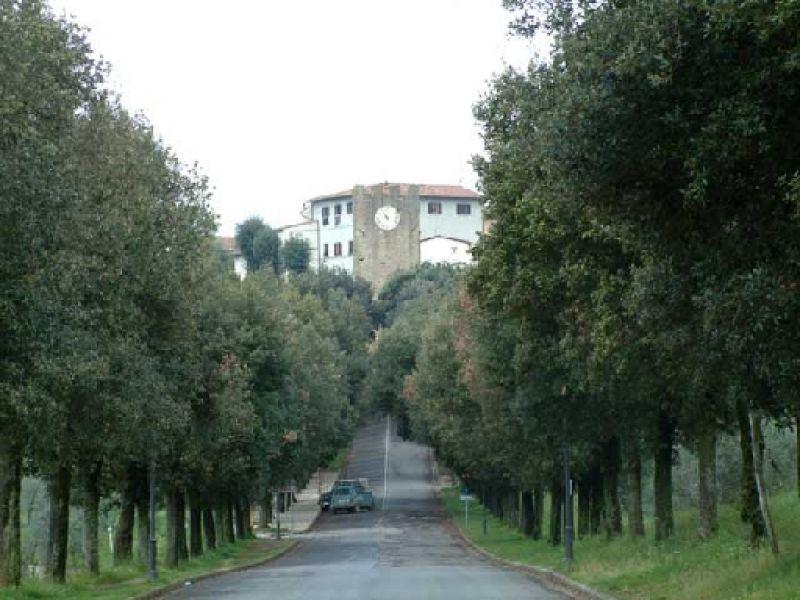 Artimino, ingresso del paese (2003) (Carmignano PO)