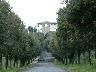 Artimino, ingresso del paese (2003) (Carmignano PO) (imm. 10 di 12)