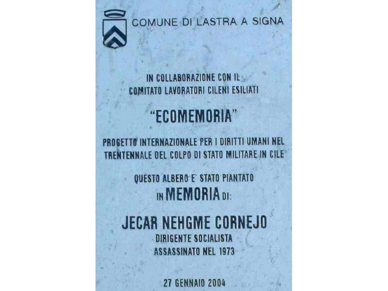 JECAR NEHGME CORNEJO (prog.internaz.diritti umani)