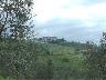 Paggeria Villa Ferdinanda, Artimino (
(Carmignano PO) 2003 (imm. 6 di 12)