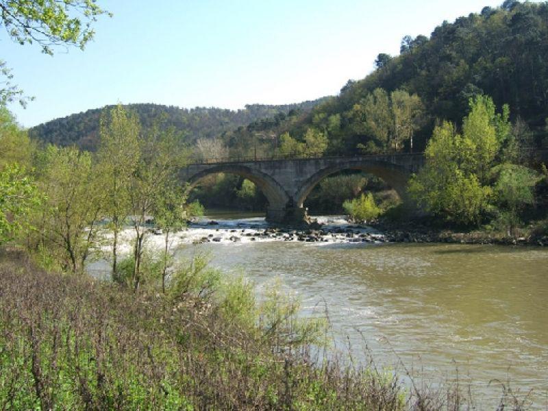 Arno a Camaioni (Montelupo Fiorentino 2005)