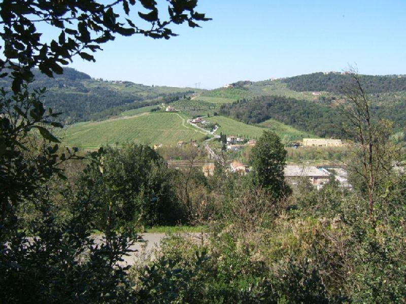 Camaioni  (Montelupo Fiorentino 2005)