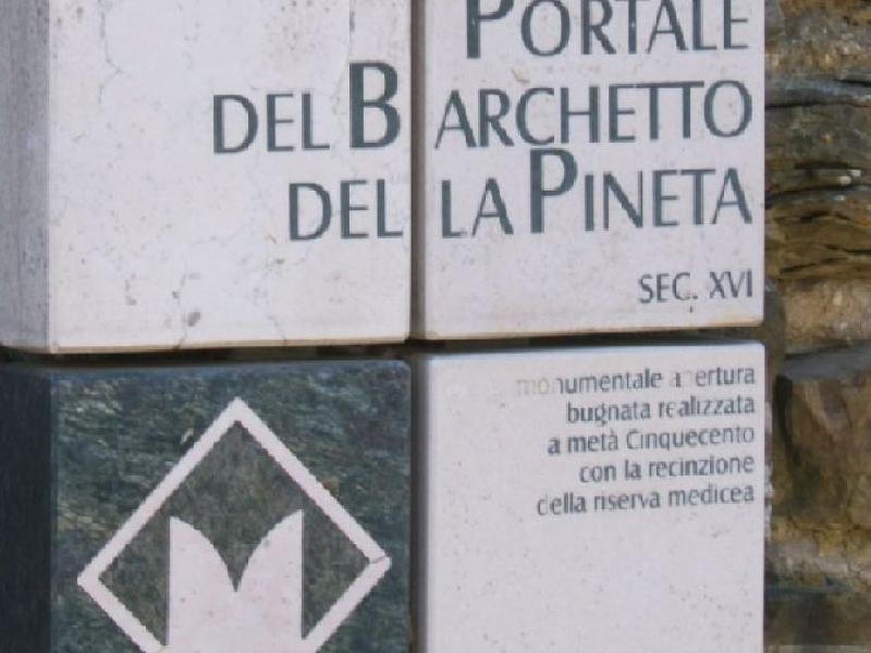 Ingresso riserva Medicea