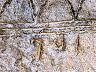 Pedata del Diavolo, particolare della roccia (foto 2012) (imm. 11 di 12)