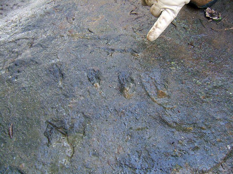 Pedata del Diavolo , particolare della roccia (foto 2012)