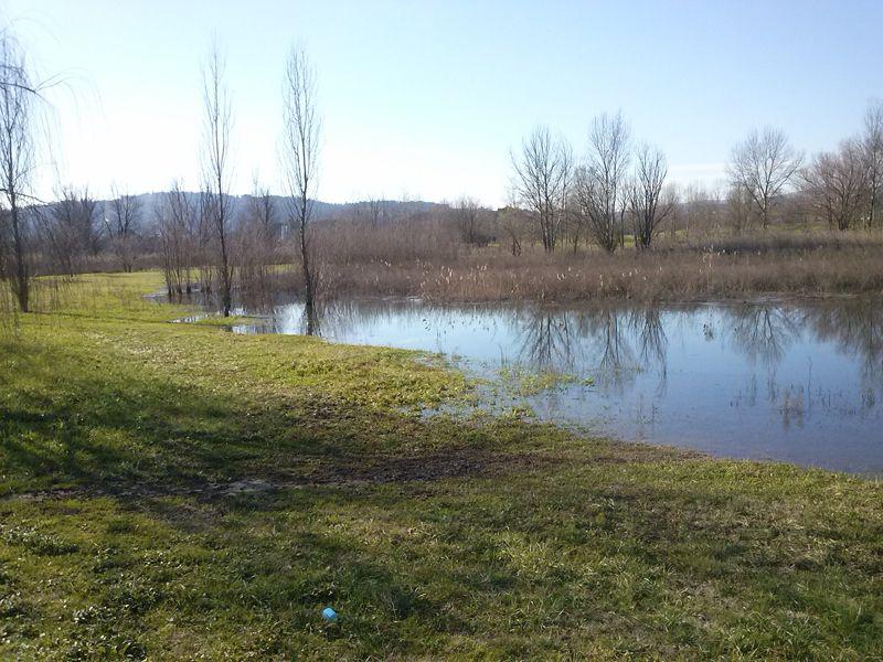 Parco fluviale 4 febbraio 2013 (foto F.Terreni)
