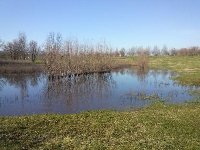 Parco fluviale 4 febbraio 2013 (foto F.Terreni)
