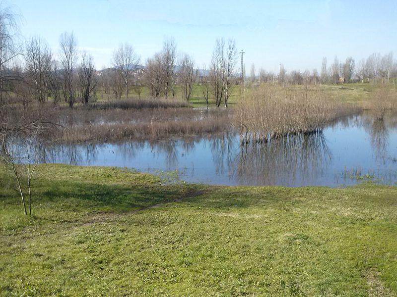 Parco fluviale 4 febbraio 2013 (foto F.Terreni)