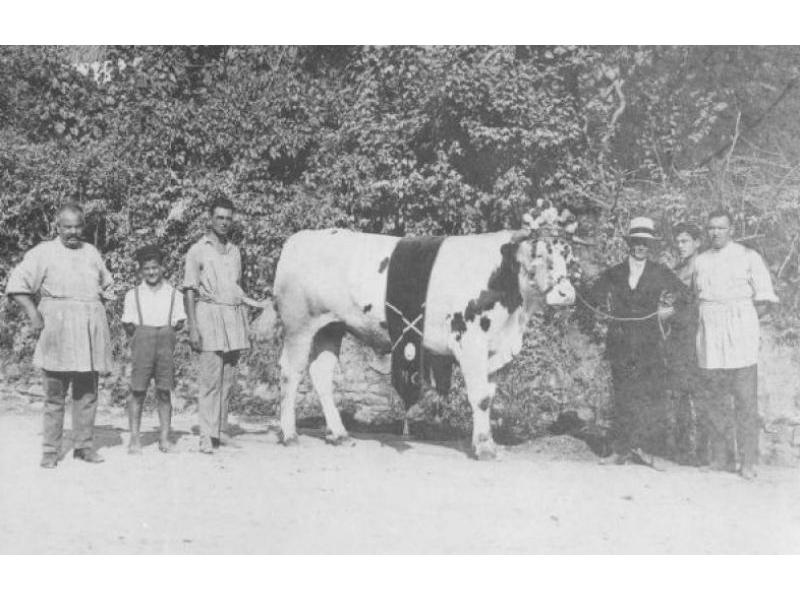 Fiera dell'Assunta a Lastra a Signa (1911)