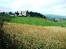 Villa Le Sorti,  Malmantile Quattro Strade gennaio 2004 (imm. 5 di 13)