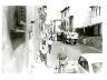 foto 8 (imm. 4 di 11)