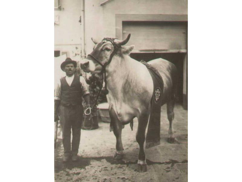Fiera dell'Assunta a Lastra a Signa (1950)