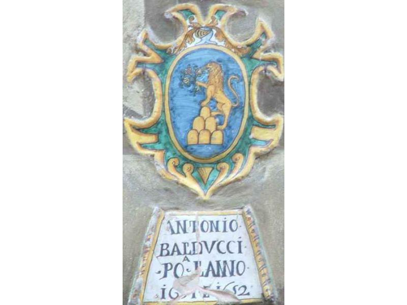 ANTONIO BALDUCCI