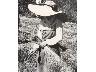 La trecciaiola senza volto, simbolo delle tante donne che in quegli anni svolgevano questo lavoro (imm. 2 di 4)