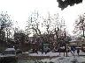 Piazza delle Cascine (2005) (imm. 15 di 38)