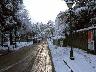 Viale Matteotti (2005) (imm. 4 di 38)