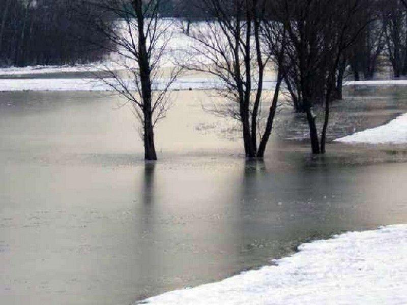 Parco fluviale - Dicembre 2005