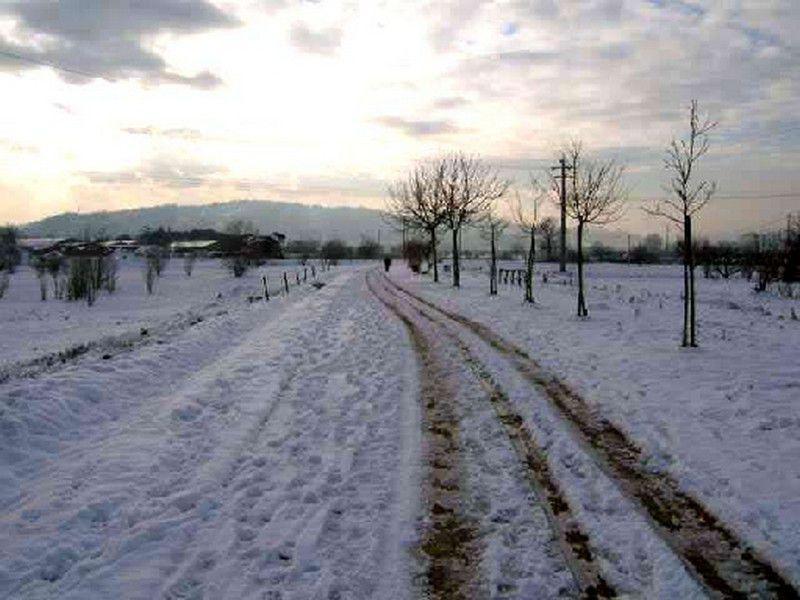 Parco fluviale - Dicembre 2005
