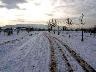 Parco fluviale - Dicembre 2005 (imm. 32 di 38)