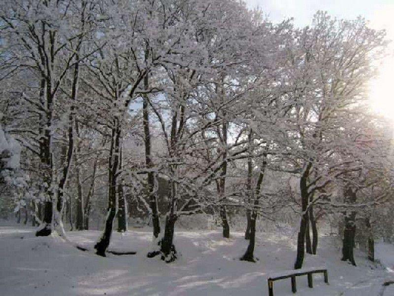 Parco fluviale - Dicembre 2005