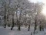 Parco fluviale - Dicembre 2005 (imm. 28 di 38)