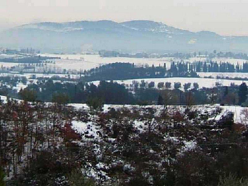 Malmantile (2005)