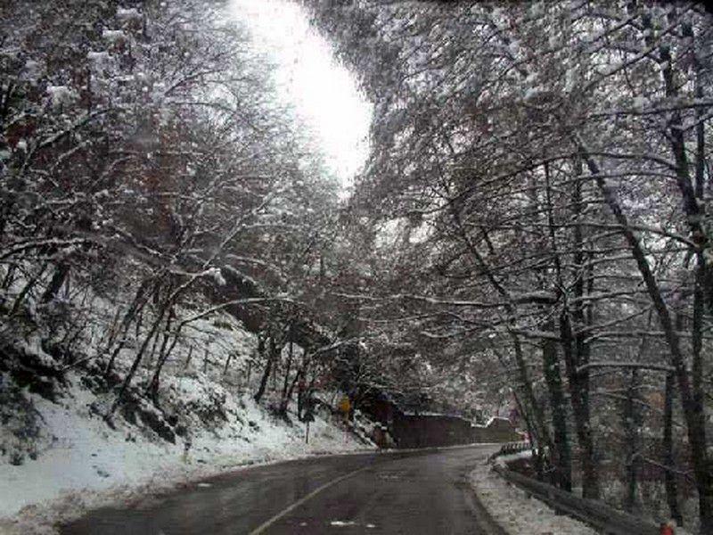 Via Vecchia Pisana (2005)